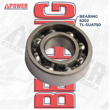 BEARING 6202
